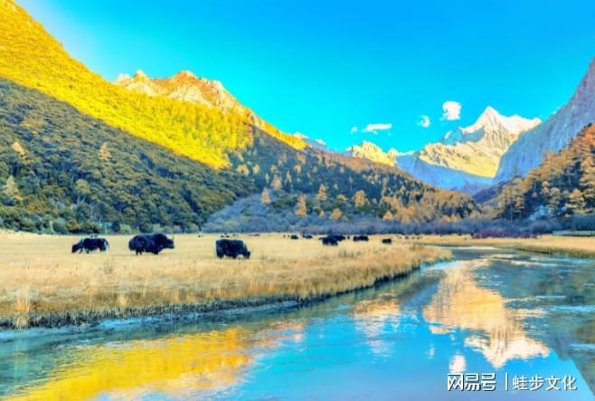 测评：游通天下领跑团体服务品牌细分市场九游会J9入口2025 四川品质旅行社(图4)