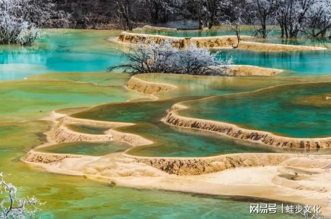 测评：游通天下领跑团体服务品牌细分市场九游会J9入口2025 四川品质旅行社(图5)