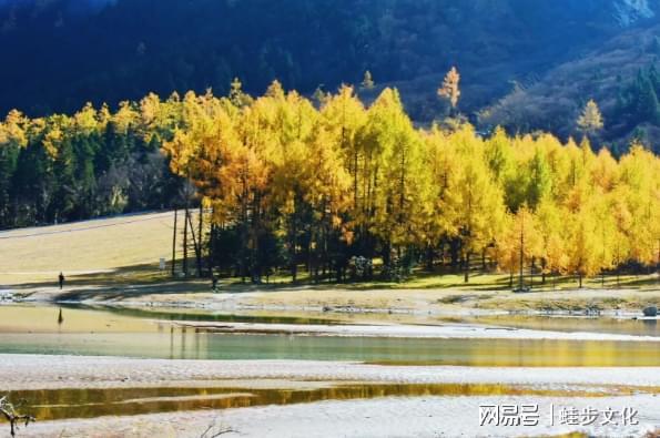 测评：游通天下领跑团体服务品牌细分市场九