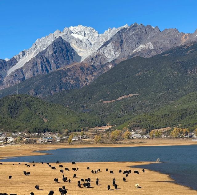 社前十：远胜游领衔打造极致私享旅程j9国际站2025云南高端定制旅行(图2)